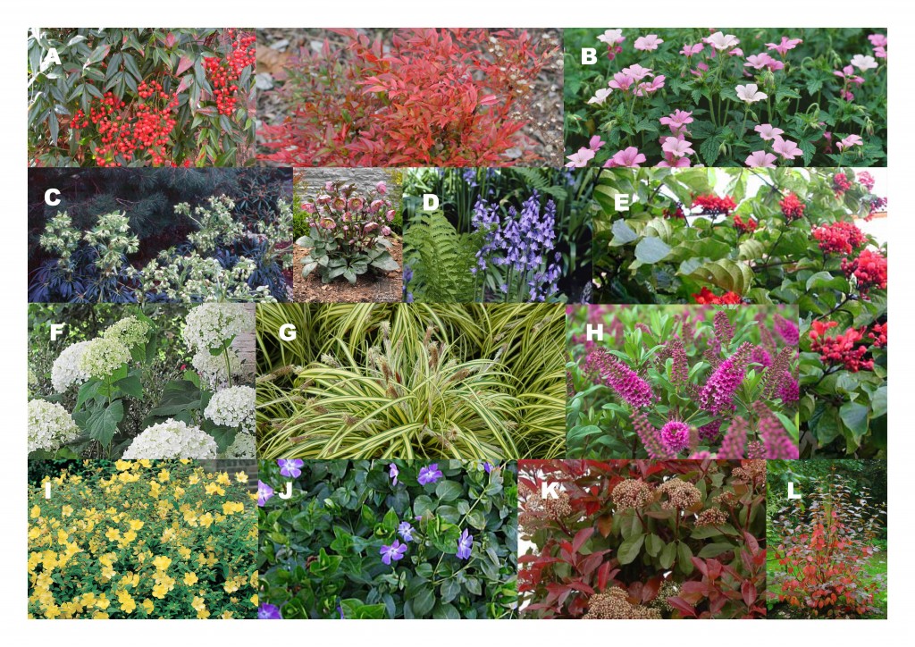 Moodboard bloemen en planten tips