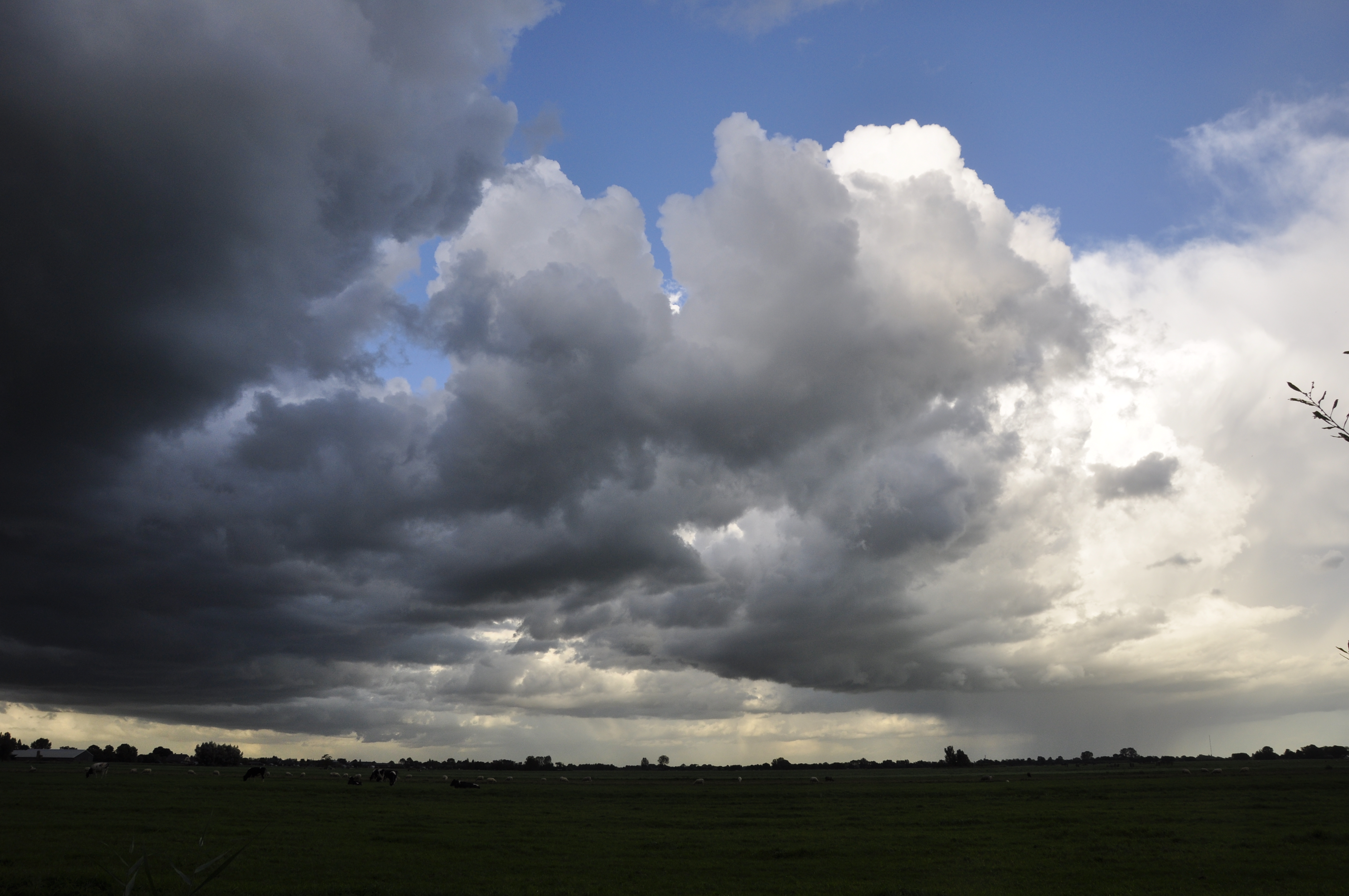 De Waterschappen moeten blijven
